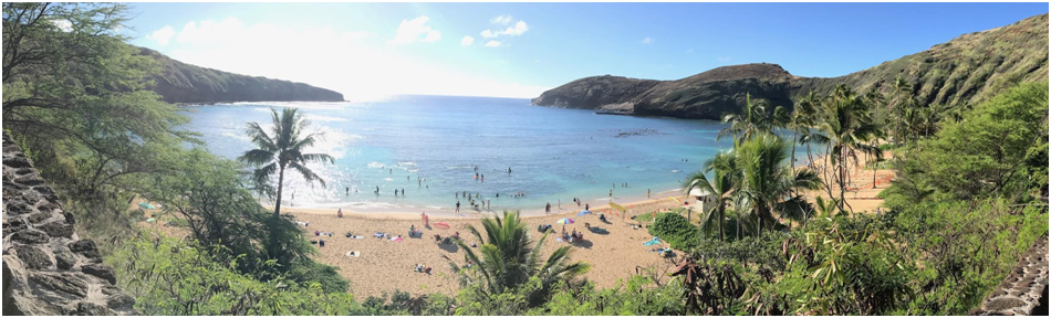 STEM and Innovation in Honolulu