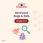 Backyard Bugs & Bots STEM programs for students in grades K–2